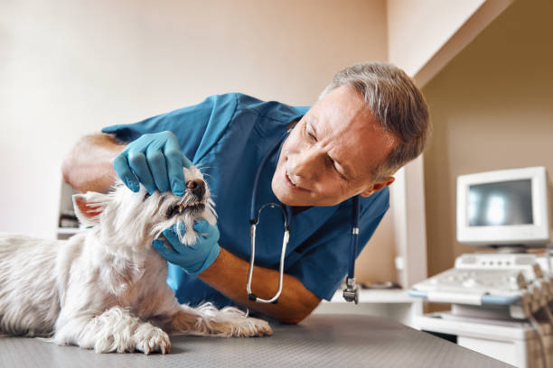 Best After-Hours Dental Care in Ocean Gate, NJ